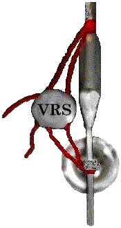 VRS Logo